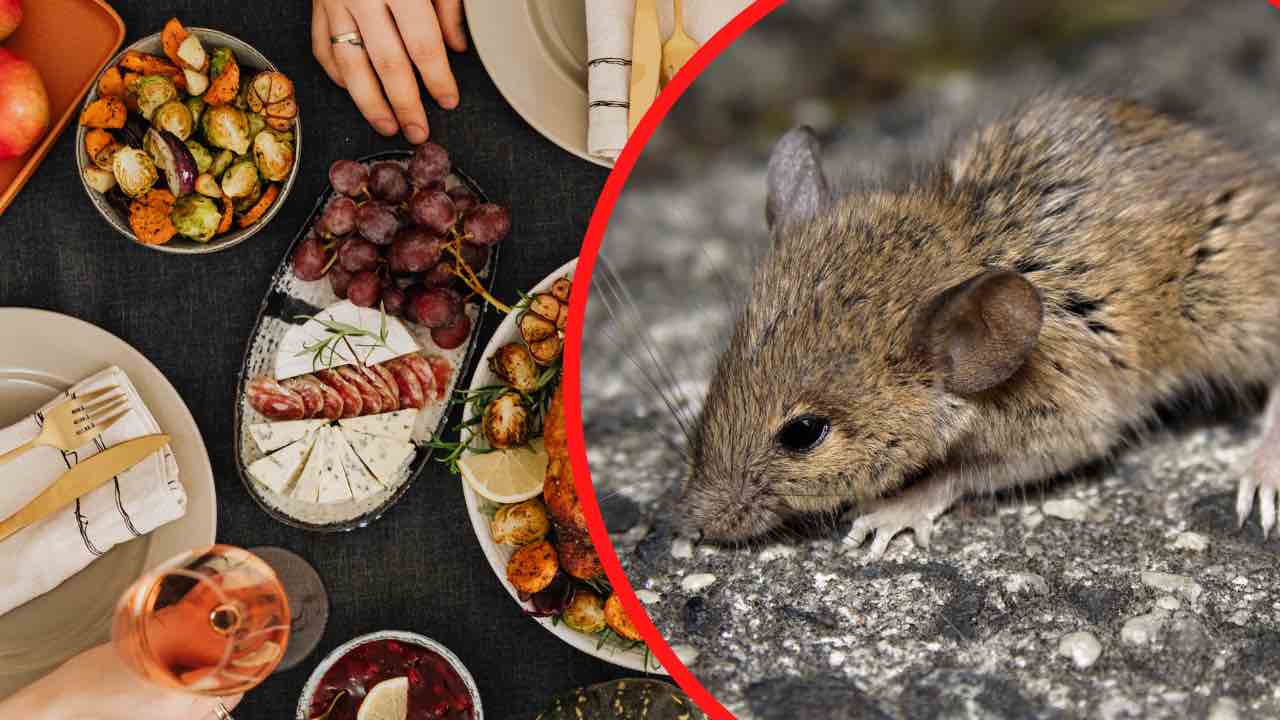 alimenti che attirano i topi