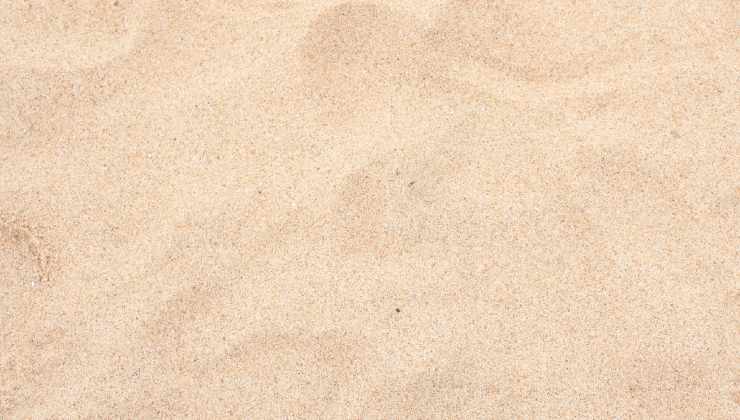 Sabbia talee di mare 