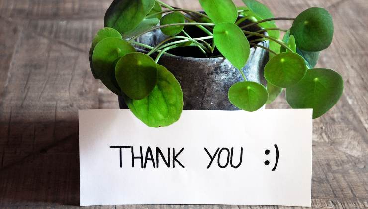 Biglietto inaspettato Biglietto inaspettato