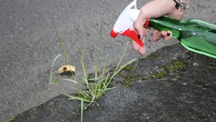 Il metodo naturale per togliere le erbacce