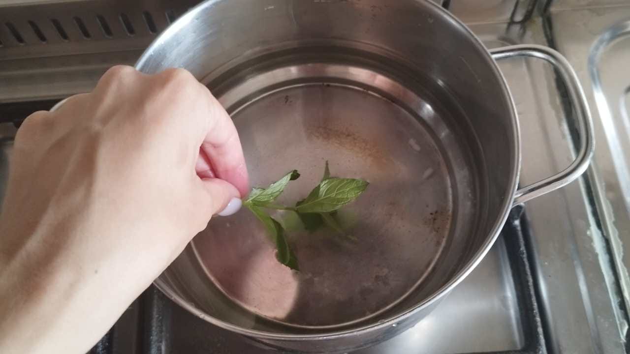 Ecco cosa accade se fai bollire 3 foglie di menta in una pentola