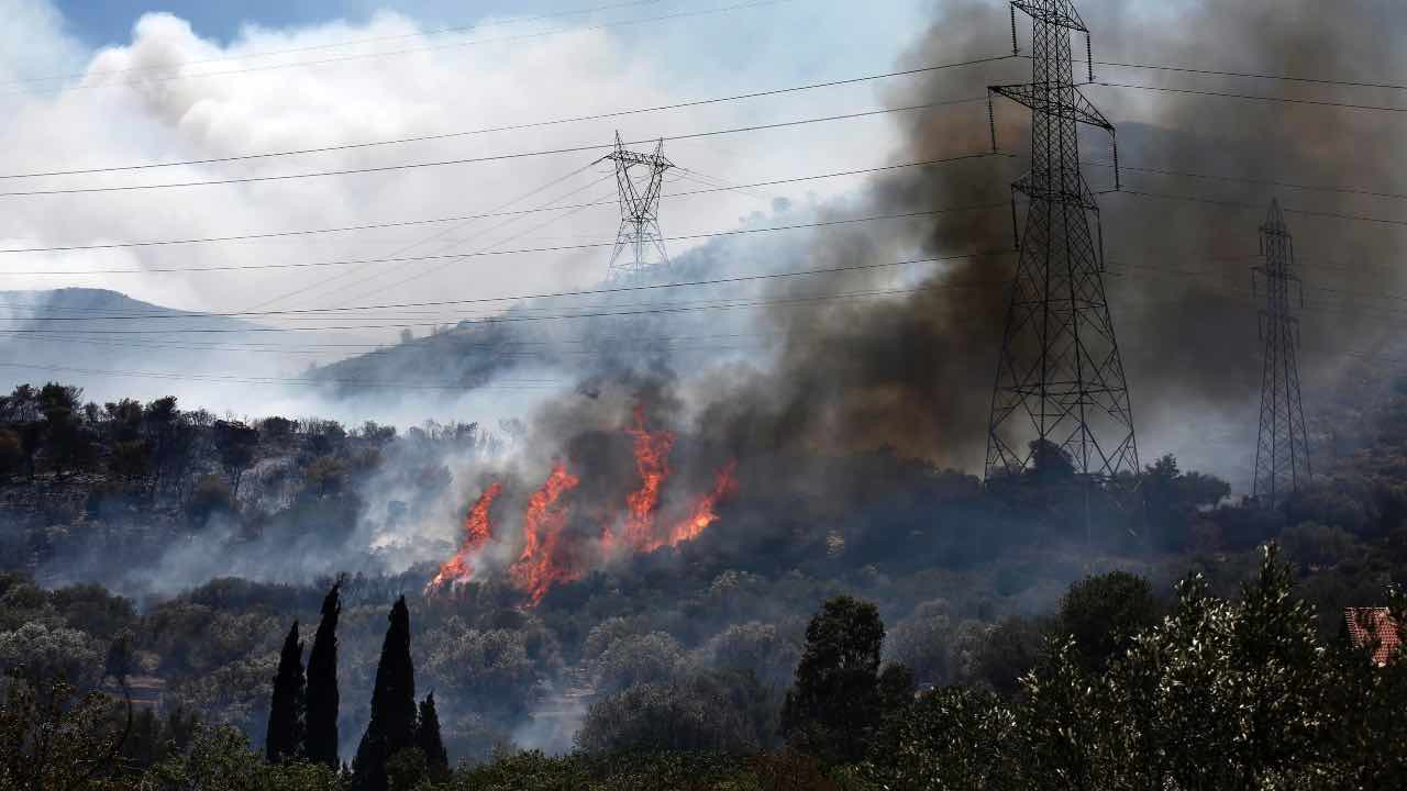 Grecia, incendio boschivo nella zona di Atene