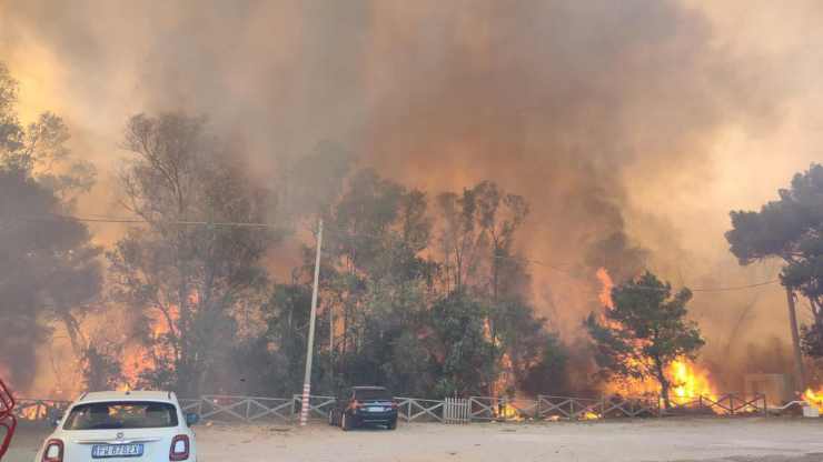 Incendi nel Sud Italia