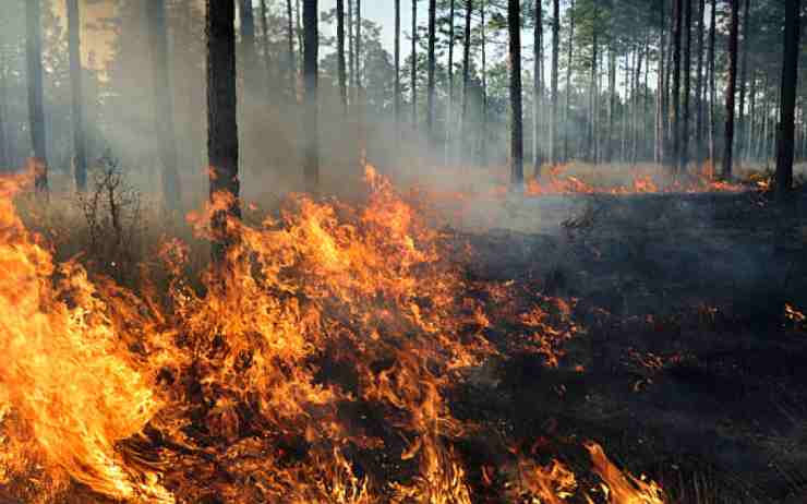 Incendio