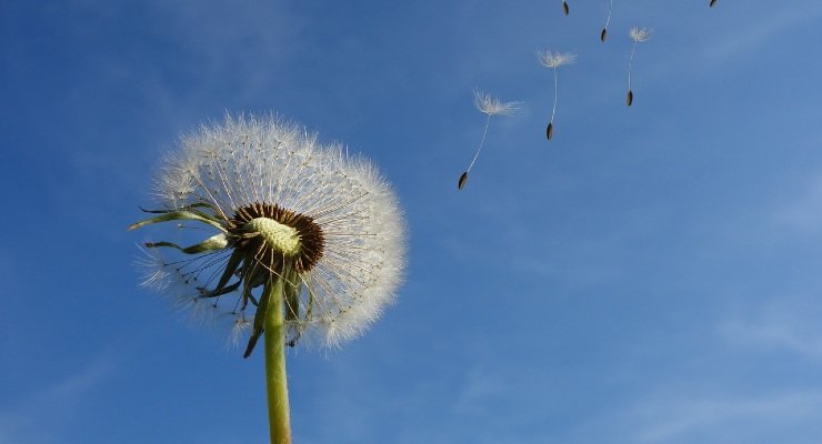 Le previsioni del meteo di Giuliacci