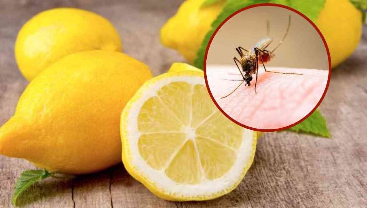Limone per alleviare fastidi da punture di zanzara