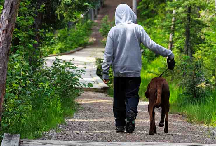 Ragazzo con cane