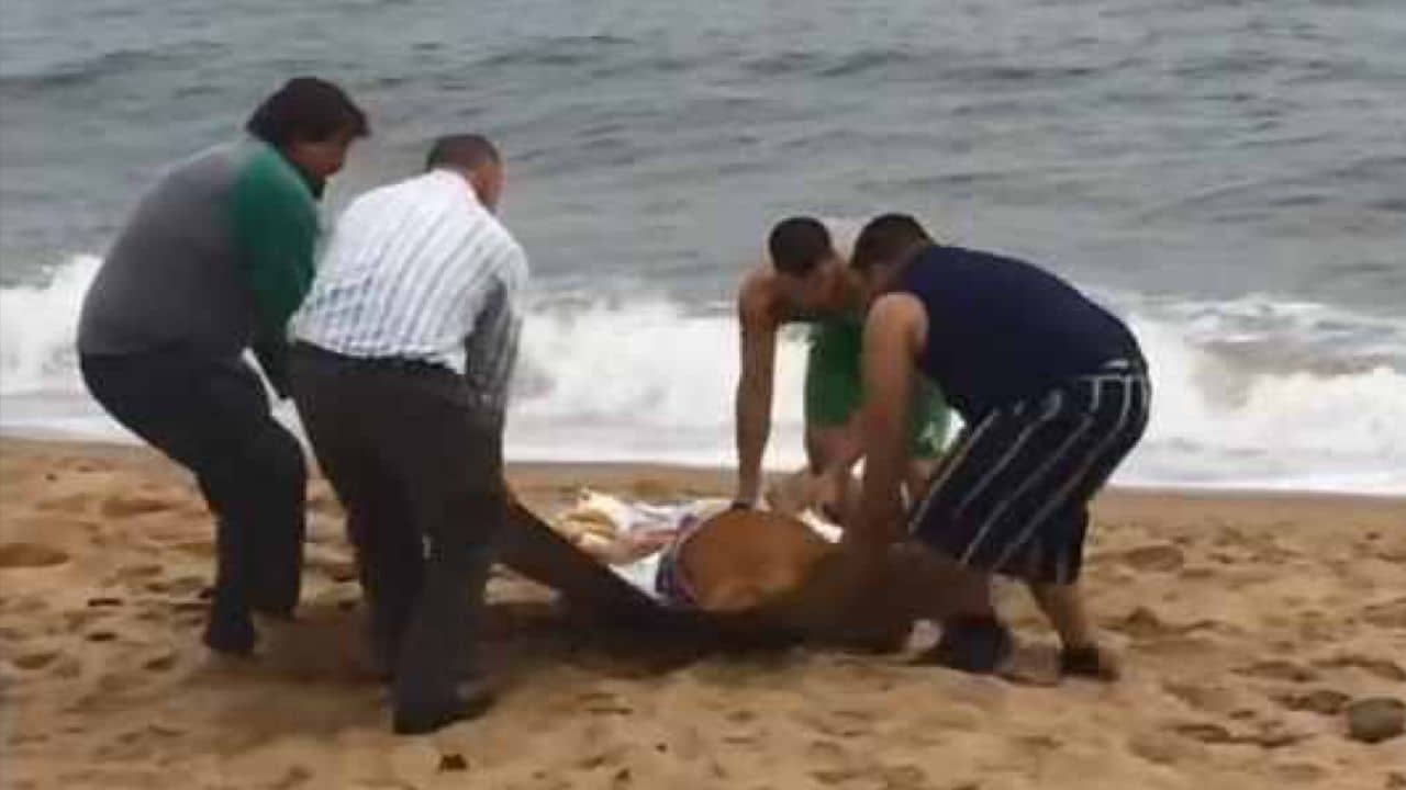 Salvataggio in spiaggia