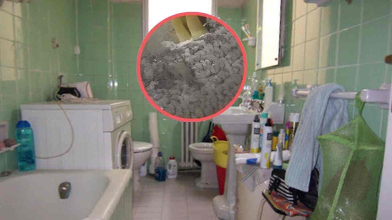 Scoperta disgustosa in bagno