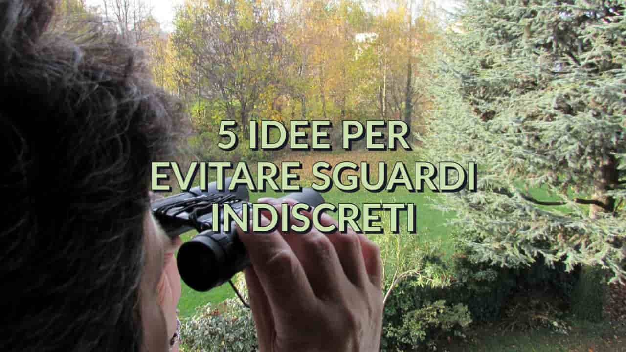 Sguardi indiscreti