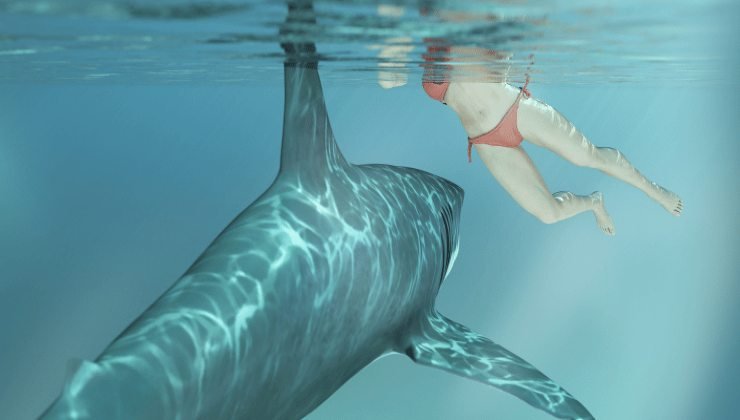 Squalo attacca esseri umani