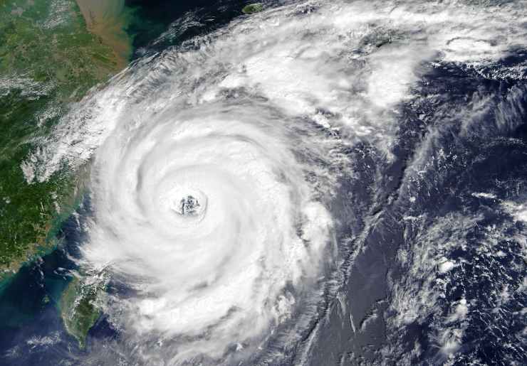 Tifone Talim nel 2017