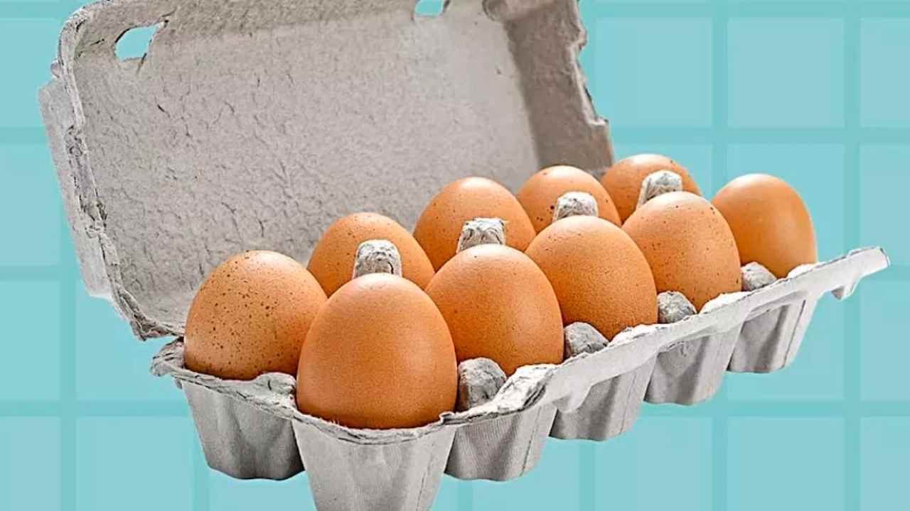 Huevos en envases de cartón
