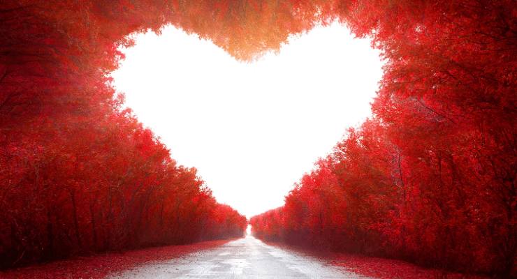 Vita sentimentale futura