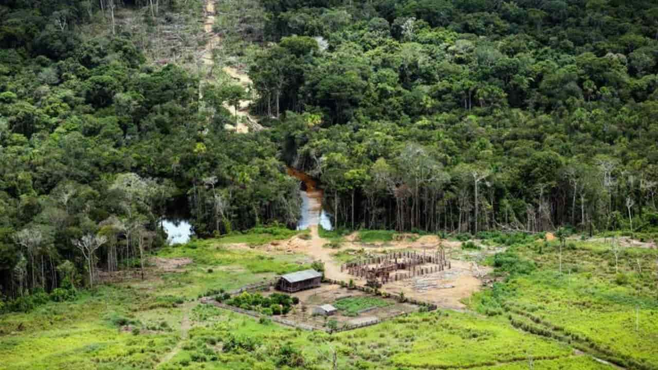Zona della foresta amazzonica