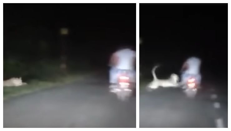 Frame video moto attacco