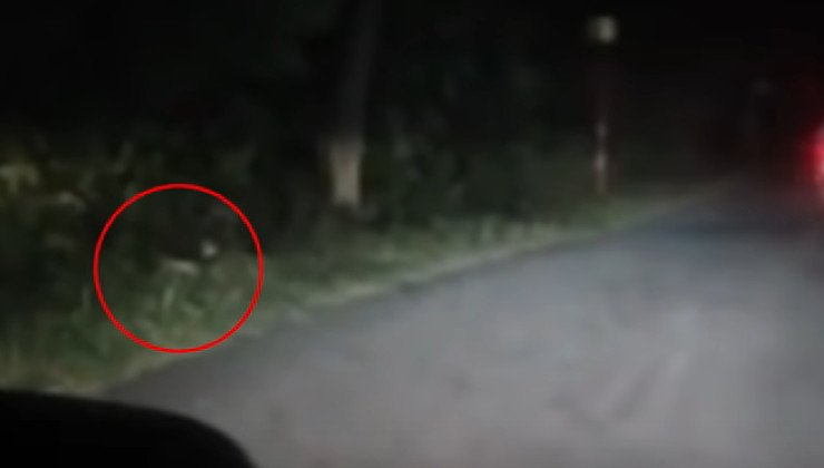 Frame video moto sorpresa