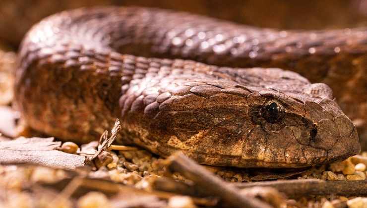 Notano qualcosa sulla sabbia Notano qualcosa sulla sabbia