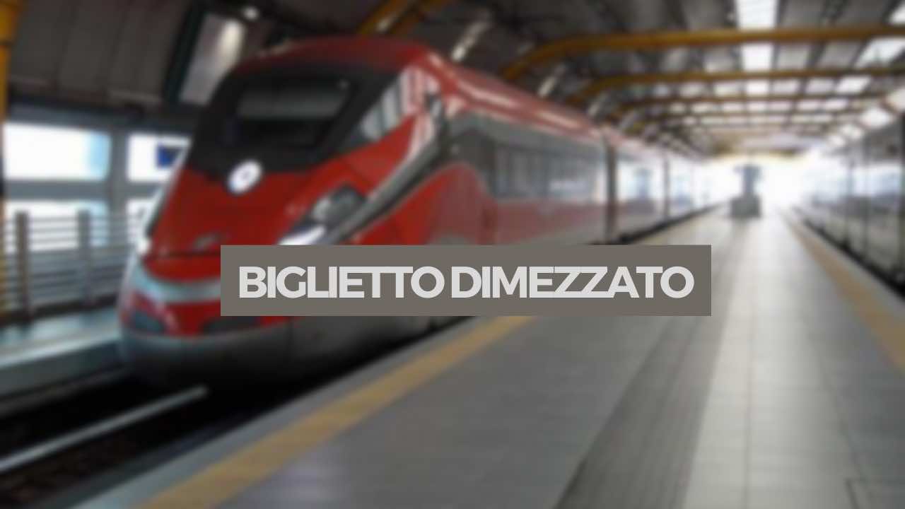 treno in stazione