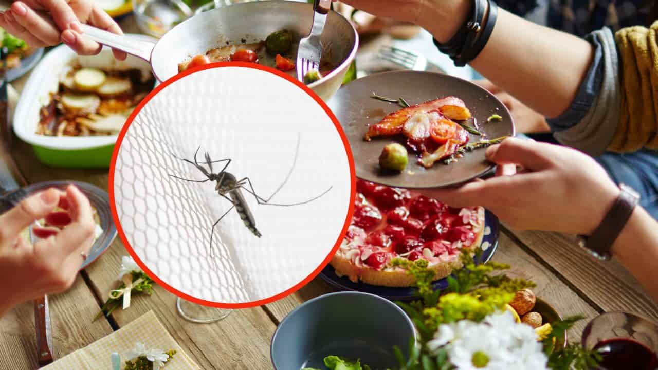 Zanzare, se mangi questi alimenti ti staranno alla larga per sempre: li odiano
