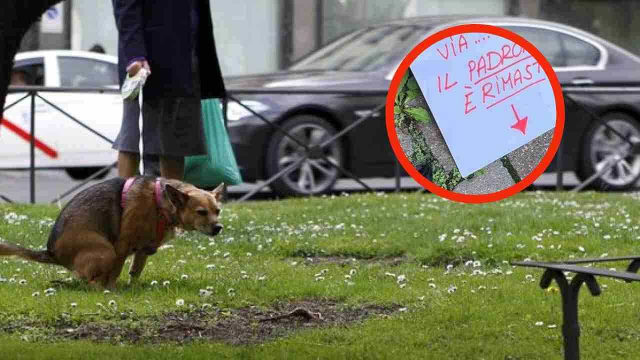 Bolzano, i bisogni di un cane lasciati in strada fanno arrabbiare un cittadino