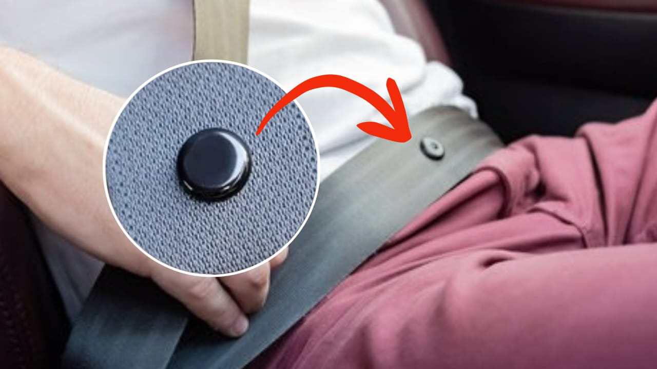 Bottone della cintura di sicurezza