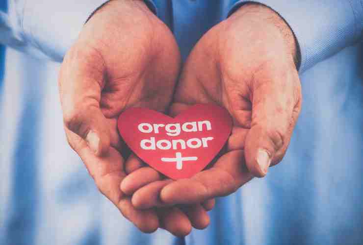 Donazione organi