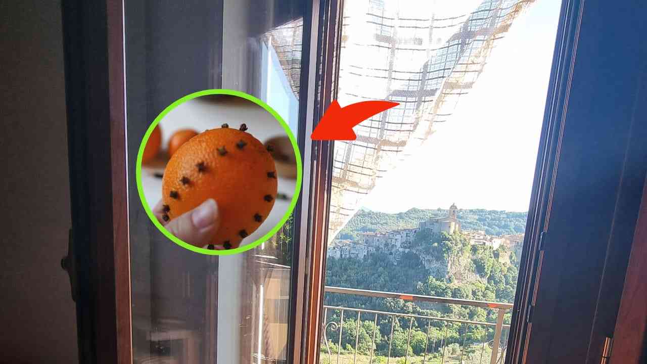 Con questo trucco gli insetti non entreranno in casa neanche con le finestre aperte 