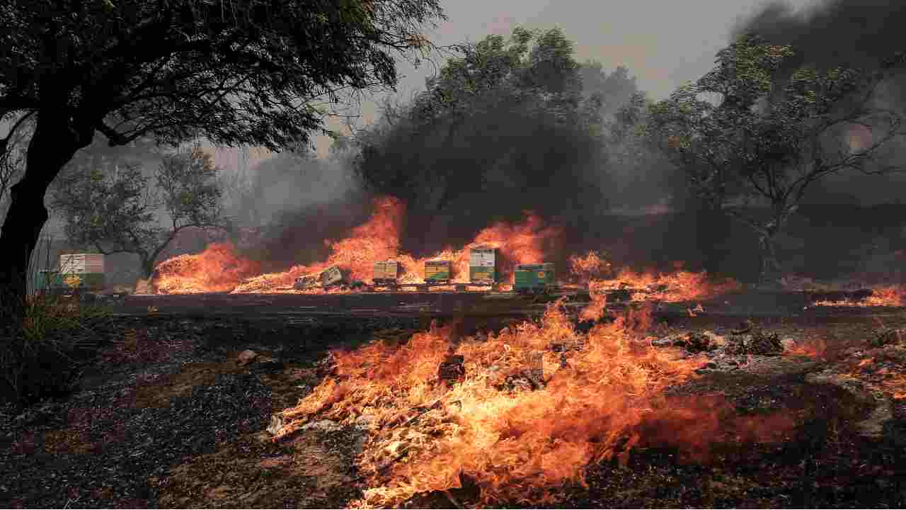 Incendi in Grecia piromani