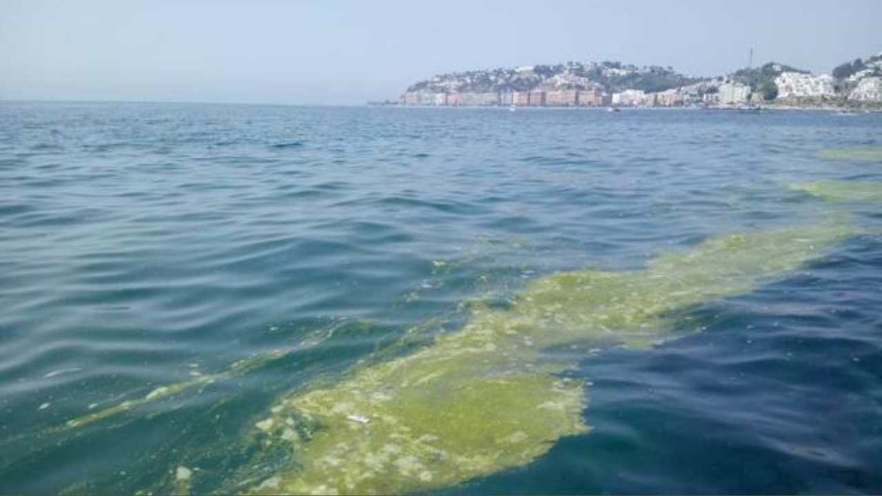 Strana macchia in acqua