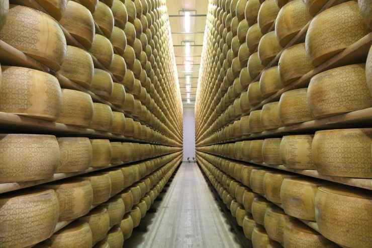 scaffale con forme di grana padano