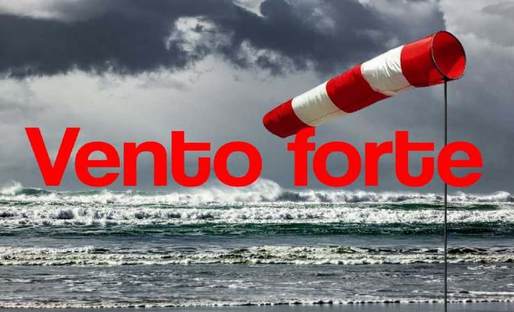 Forti venti 