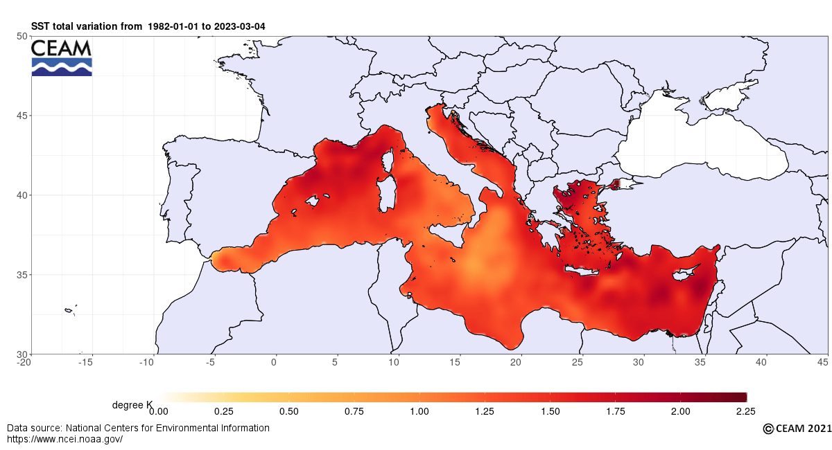 Temperature del mare