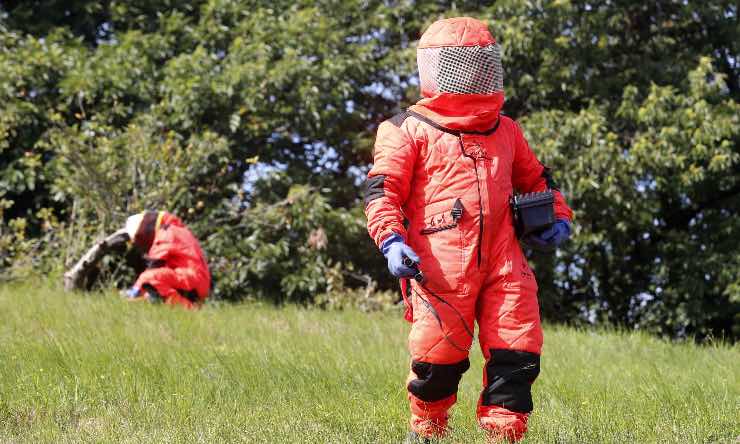 Apicoltori al lavoro per contrastare la Vespa velutina